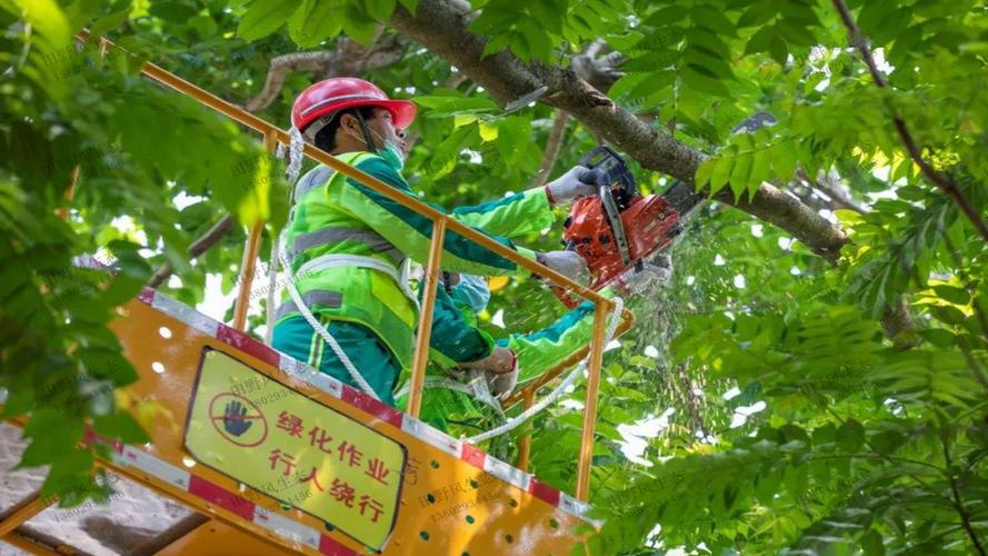 江岸区口碑好的园林绿化工程设计