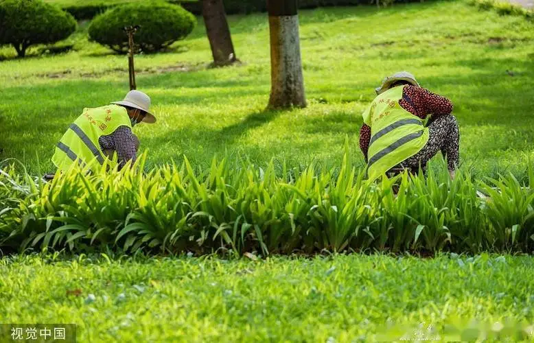 现代园林景观设计坡面