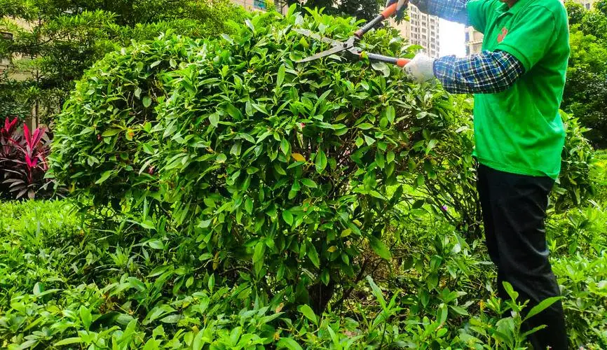 什么叫做好的园林景观设计